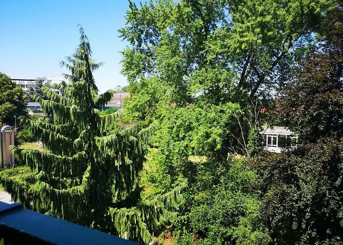 Ott 3* Bad Krozingen